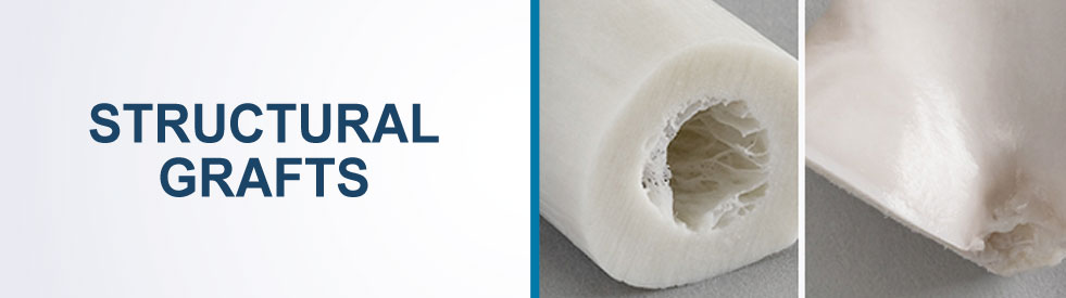 Structural Grafts